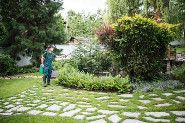 Best Pest Prevention Services  in Munising, MI