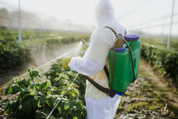 Best Emergency Pest Control  in Munising, MI